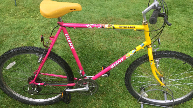 giant stonebreaker mountain bike